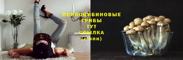 2c-b Заводоуковск