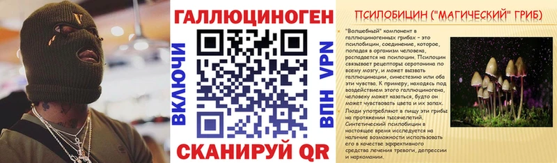 Купить закладки Чердынь Псилоцибиновые грибы Psilocybe